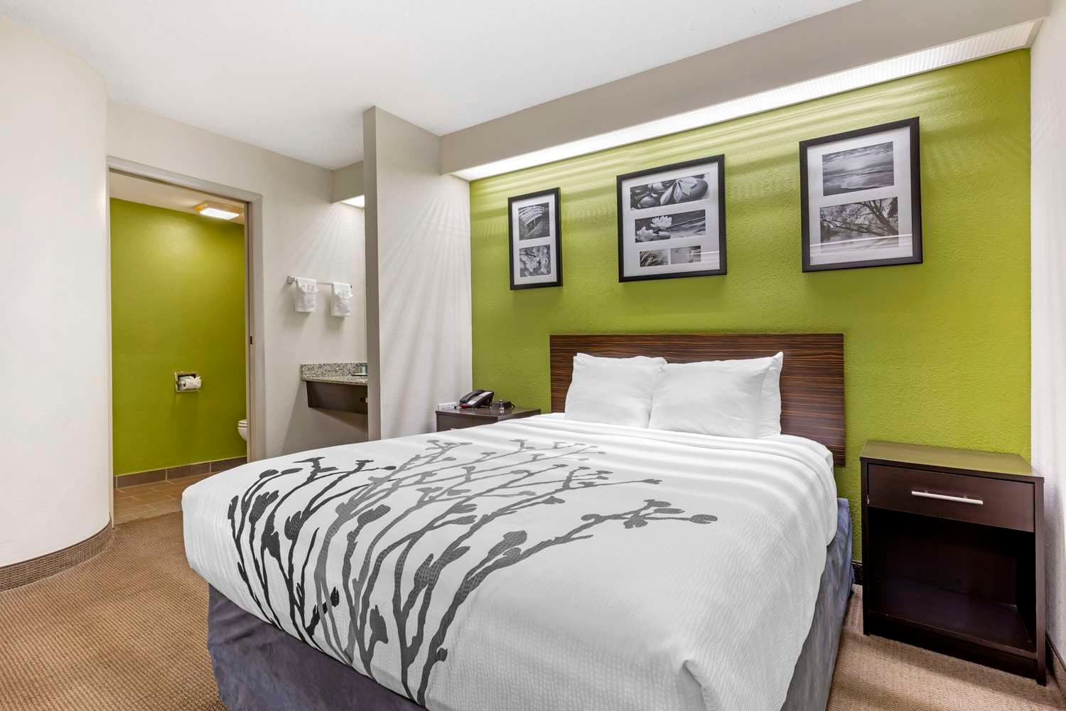 Sleep Inn at Greenville Convention Center