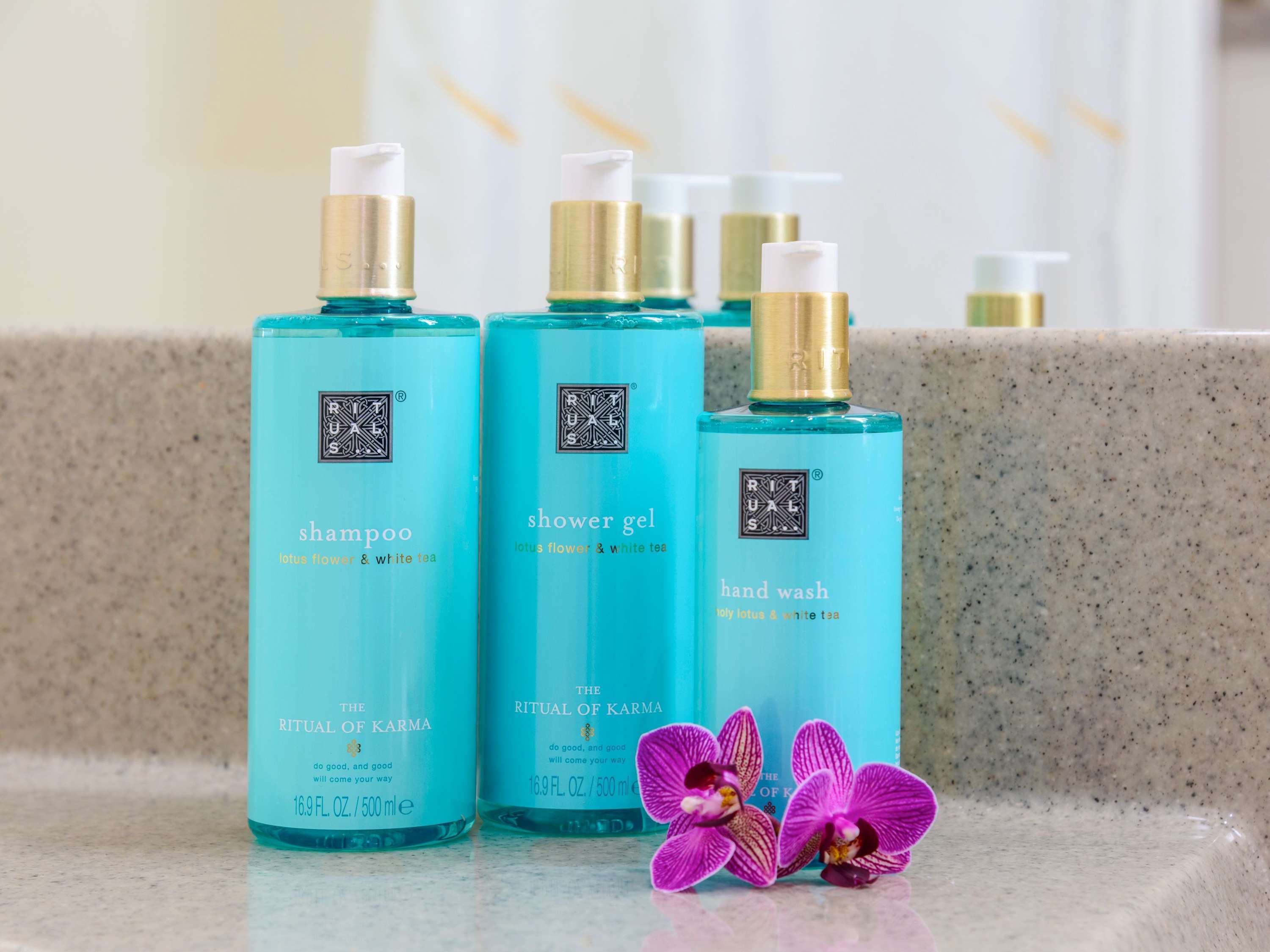 Novotel Torino Corso Giulio Cesare