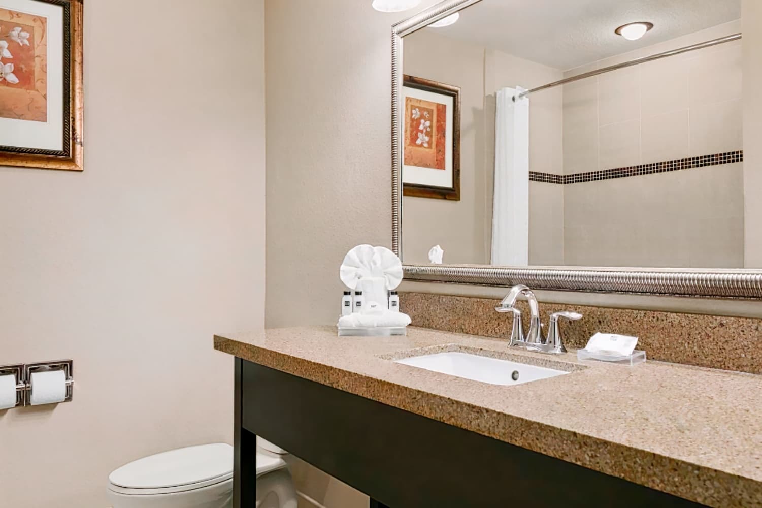 Country Inn & Suites by Radisson, Tampa Airport North