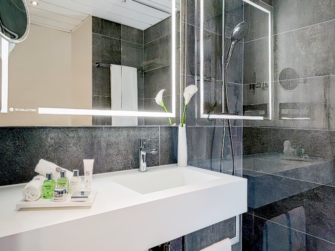 Avani Frankfurt City Hotel