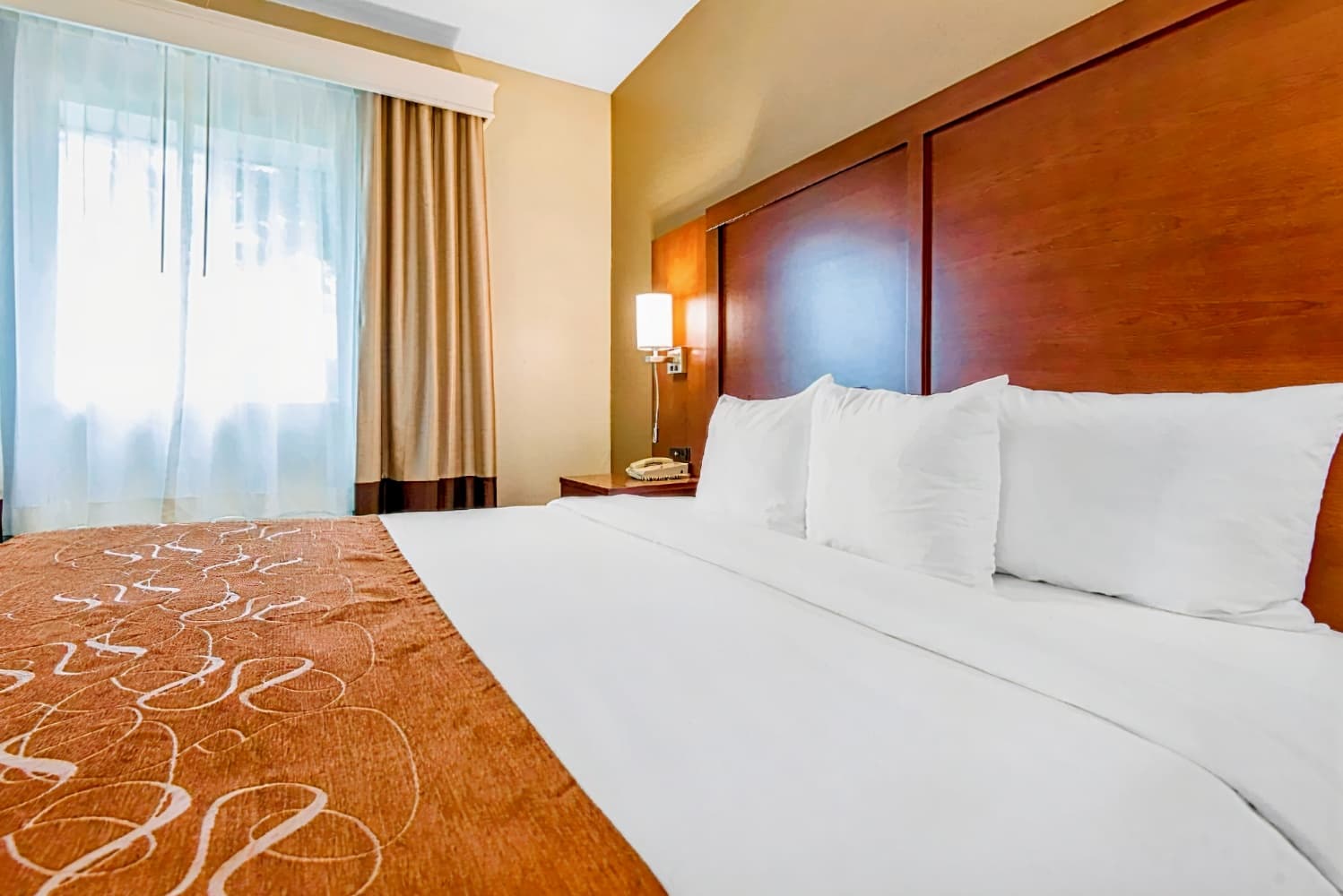 Comfort Suites Rochester Henrietta University Area