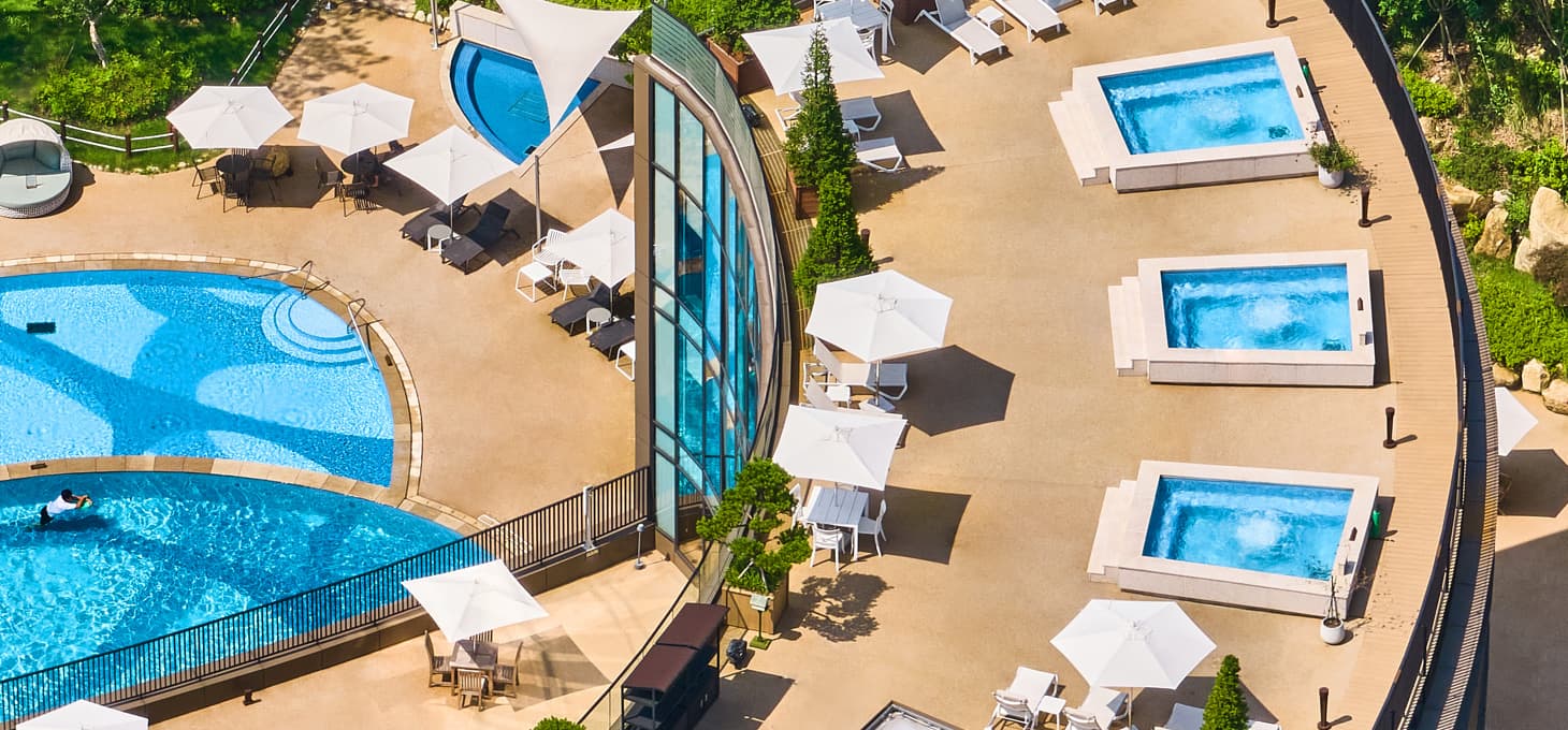 Paraspara Seoul 파라스파라 서울