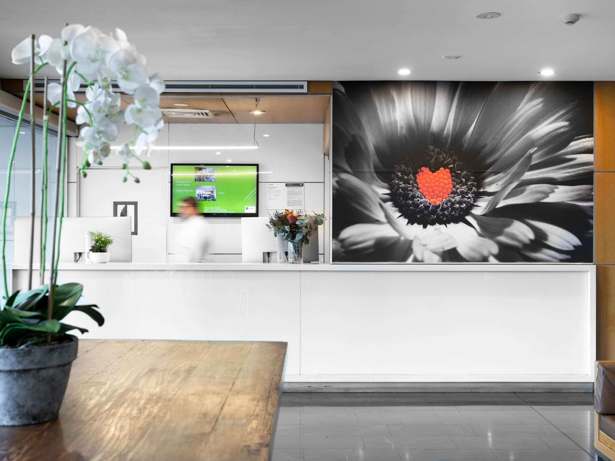 Mercure Sydney St Leonards