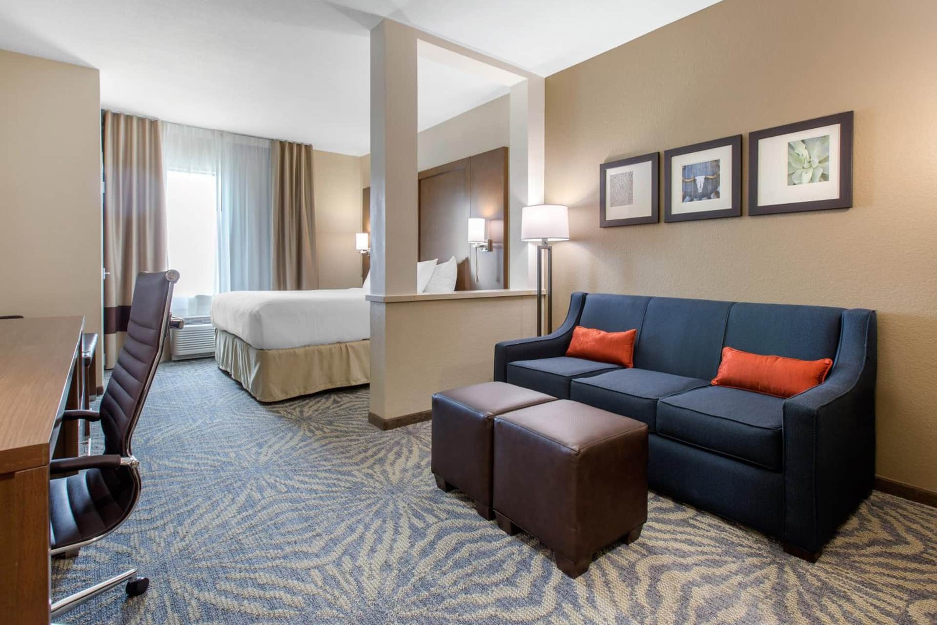 Comfort Suites - South Austin